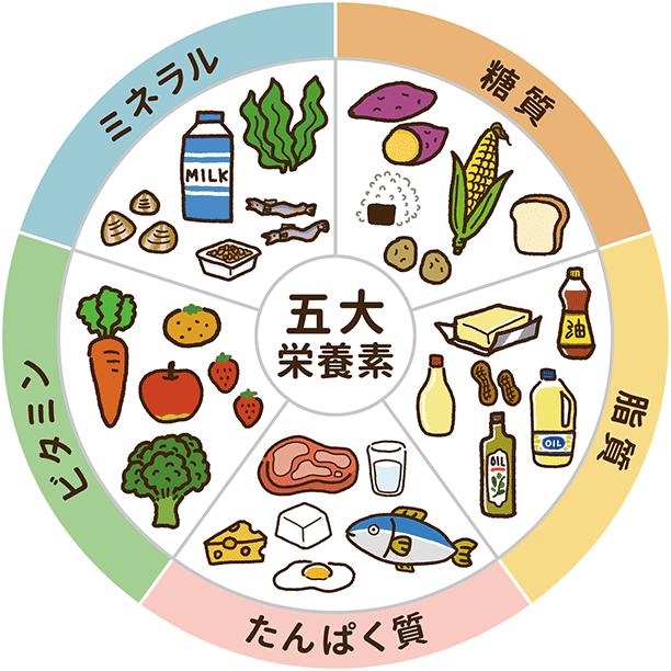 五大栄養素