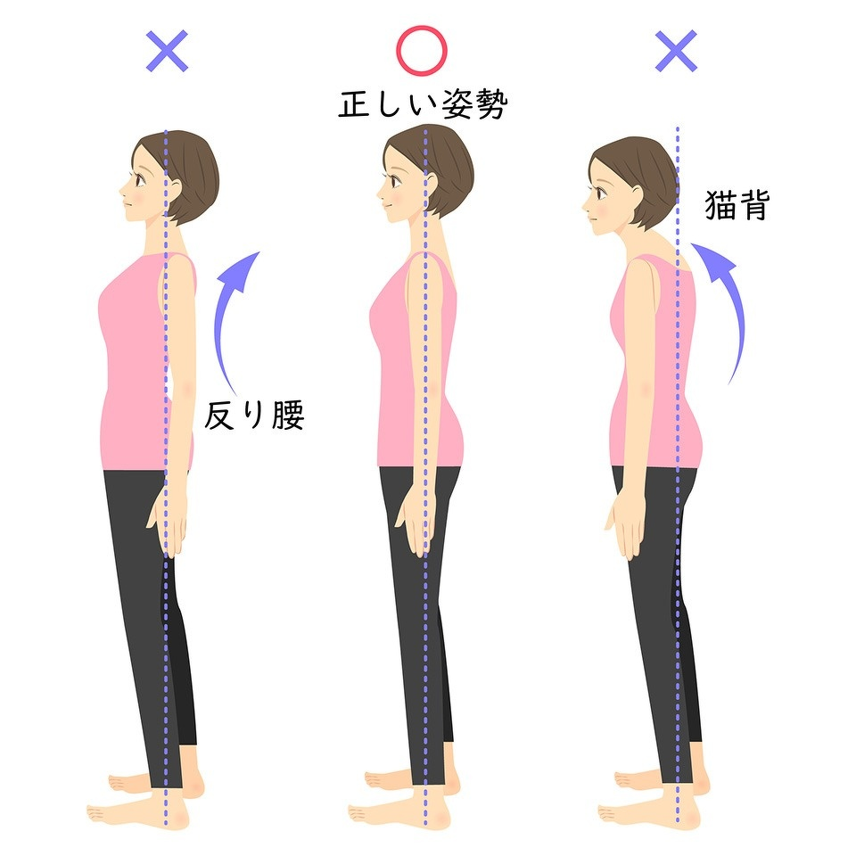 正しい姿勢を表した様子